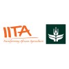 International Institute of Tropical Agriculture (IITA)
